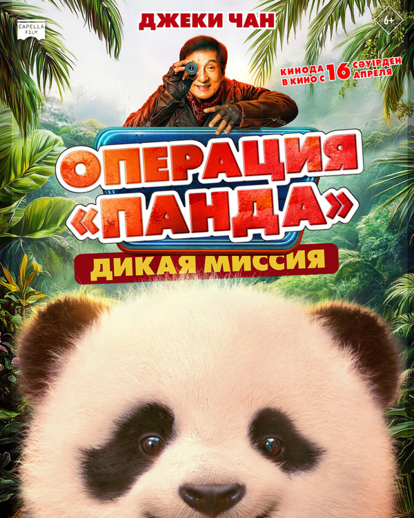 Операция «Панда». Дикая миссия