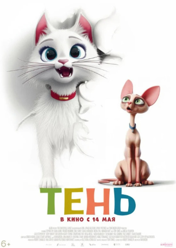 Тень